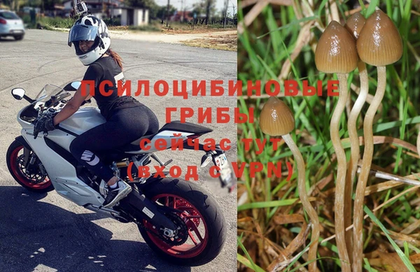 ALPHA-PVP Вуктыл