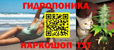 альфа пвп Комсомольск-на-Амуре