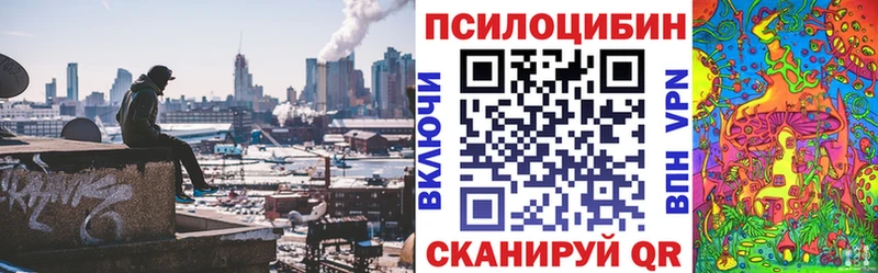 наркотики  Торжок  Галлюциногенные грибы прущие грибы 