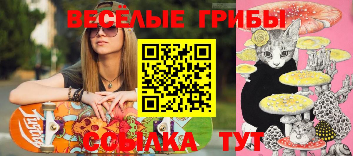 Торжок  Псилоцибиновые грибы ЛСД  Вход с VPN  Псилоцибиновые грибы MAGIC MUSHROOMS 